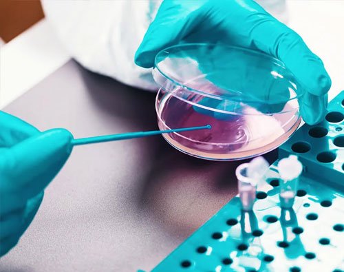 microbiologie-casablanca-laboratoire